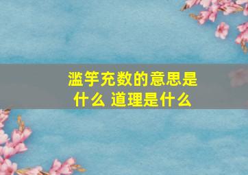 滥竽充数的意思是什么 道理是什么